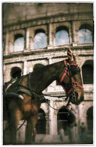 a statue of a horse in front of a building at Casa Vacanza Katiuscia in Rome