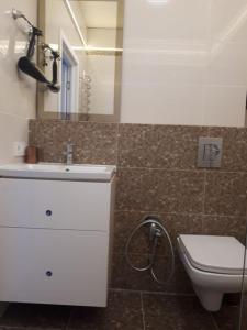 Un baño con inodoro, lavabo y espejo. en Apartments Lutsdorf, en Odessa