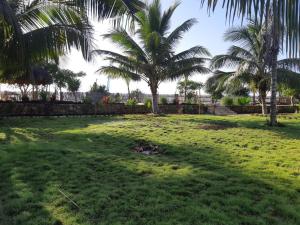 a lawn with palm trees in a yard at Rua Beach Resort Sumba in Rua