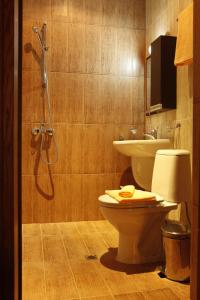 a bathroom with a shower and a toilet and a sink at Family Hotel Dinchova kushta in Rozhen +43 photos