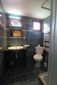 a bathroom with a toilet and a sink at Három Székely Fogadó in Miercurea-Ciuc