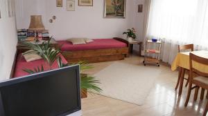 ein Wohnzimmer mit einem Sofa und einem TV in der Unterkunft BodenSEE Apartment Langenargen Fliederweg in Langenargen