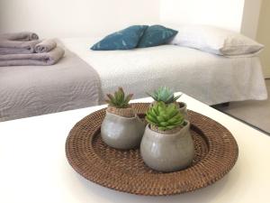 deux vases avec des plantes sur une table dans une chambre dans l'établissement Casa4Casa, à Palerme
