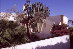 Foto dalla galleria di A Giummara a Marsala