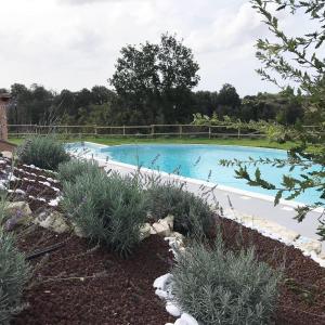- une piscine dans une cour ornée de plantes dans l'établissement The Bell Tower Lodge, à Palidoro