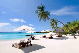 a beach with chairs and umbrellas and the ocean at For You Hotel in Nha Trang