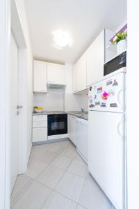 Kuchyň nebo kuchyňský kout v ubytování Apartman LL + 6 fotografií