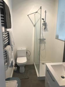 a bathroom with a toilet and a shower and a sink at Apartament 'Laura' Tykocin in Tykocin
