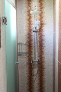 a shower with a glass door in a bathroom at Guest House Valiland in Bŭlgarevo