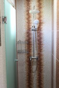 a shower with a glass door in a bathroom at Guest House Valiland in Bŭlgarevo +34 photos