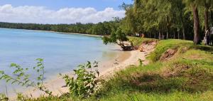 una spiaggia con un idrante sopra accanto all'acqua di VILLA DES ILES MONT CHOISY a Mont Choisy