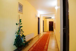 Afbeelding uit fotogalerij van Lázár Pension & Restaurant in Gheorgheni +17 foto's