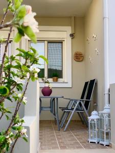 Patio nebo venkovní prostory v ubytování BIO Garden New House + 37 fotografií