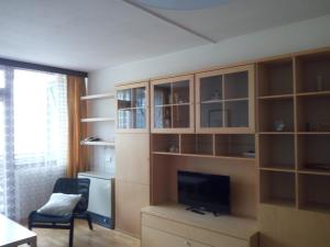una sala de estar con un centro de entretenimiento con TV en Panoramis apartment in Schladming en Schladming