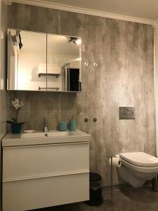 a bathroom with a sink and a toilet and a mirror at Nyksund Appartement, Nyksund Brygge in Nyksund