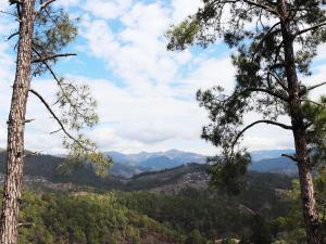 Foto dalla galleria di Shivalik River Retreat ad Almora