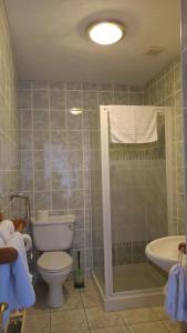 a bathroom with a toilet and a shower and a sink at Whitehouse Guest House in Stirling