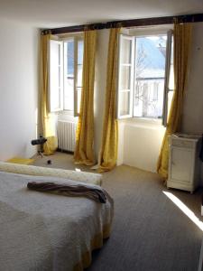 ein Schlafzimmer mit einem Bett und zwei Fenstern in der Unterkunft Chambre chez l'habitant au centre ville in La Flèche