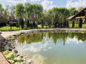 a pond in a garden with a house in the background at Petrovskyi Brovar in Brovary