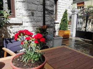 una mesa de madera con flores rojas en el patio en Vila Trebicka, en Korçë