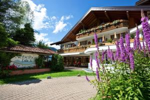 Zahrada ubytování Ringhotel Nebelhornblick