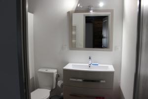 y baño con aseo, lavabo y espejo. en Gite des Celliers en Alise-Sainte-Reine