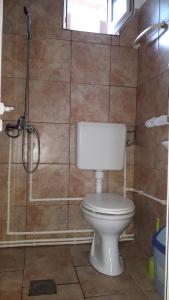 a bathroom with a toilet and a shower at Apartmani Nino in Star Dojran +39 photos