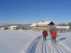 Gallery image of Hotel Märchenwald in Haidmühle
