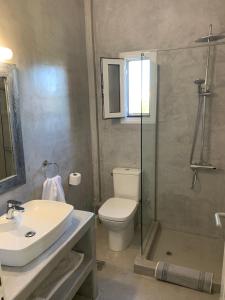 een badkamer met een toilet, een wastafel en een douche bij Galini Apartments in Trapezaki
