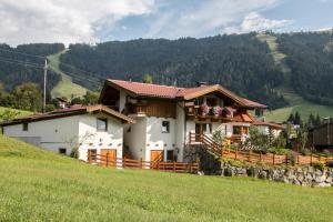 a house on the side of a hill at Apartment Doll in Niederau