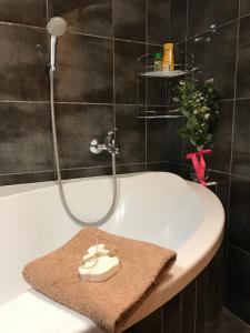 Kúpeľňa v ubytovaní Rustikální Apartmán v srdci Šumavy