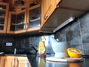 Kuchyňa alebo kuchynka v ubytovaní Rustikální Apartmán v srdci Šumavy