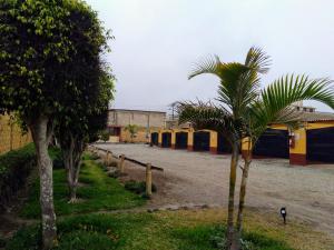 uma fila de palmeiras em frente a um edifício em Motel Sahara Suites em Barranca