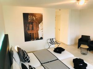 TV a/nebo společenská místnost v ubytování Vita Roka met extra Luxe Privé Wellness