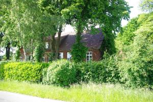 ein rotes Backsteinhaus mit Bäumen und Sträuchern in der Unterkunft Alte Schule Osteroden in Merzen