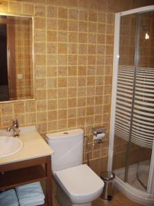 uma casa de banho com um WC, um lavatório e um chuveiro em Apartamentos Cañones de Guara y Formiga em Panzano