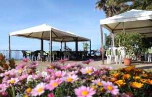 Gallery image of Albergo Ristorante Lucciola in Santo Stefano al Mare