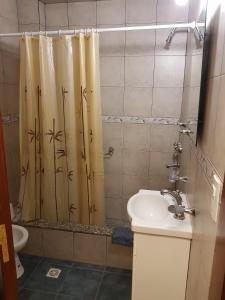 a bathroom with a shower curtain and a sink at Departamenos Llanos in Termas de Río Hondo +47 photos