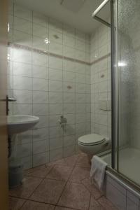 a bathroom with a toilet and a sink and a shower at Haus Schlematal Hotel und Restaurant in Bad Schlema