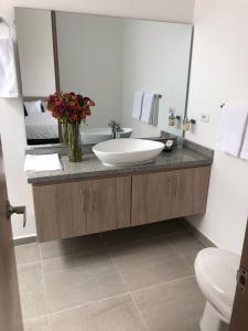 een badkamer met een wastafel en een grote spiegel bij Hotel Boutique La Ceiba in Quimbaya
