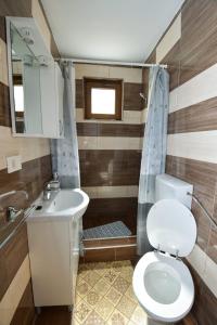 uma casa de banho com um WC e um lavatório em Pensiunea Cristina em Vişeu de Sus