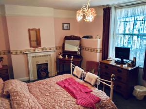 a bedroom with a bed and a fireplace and a television at Little Mermaid Cottage in Dawlish