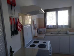 A kitchen or kitchenette at Lipsi Village House