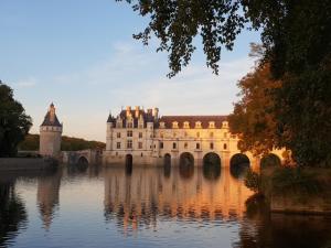 a castle sitting on top of a body of water at la blanchetière in Francueil