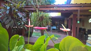 a group of pink flowers in a garden at Boutique Hotel De La Fonte & Restaurant in Puerto Iguazú