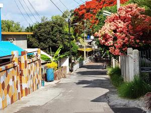 Un jardín fuera de Case Latanier