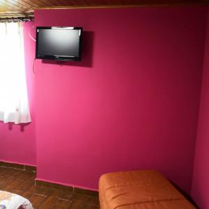 Cette chambre est dotée d'un mur rose et d'une télévision. dans l'établissement Casa Nueva, à Salas