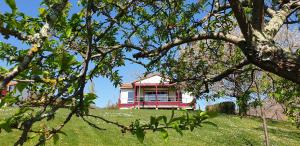 Domaine Chalets Larlapean外面的花园