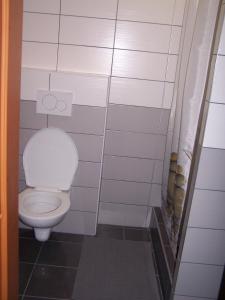 ein Bad mit einem weißen WC in einem Zimmer in der Unterkunft Mitrans in Hradec Králové