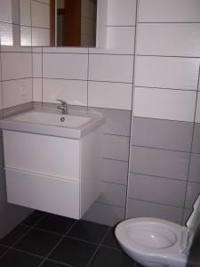 ein weißes Bad mit einem Waschbecken und einem WC in der Unterkunft Mitrans in Hradec Králové